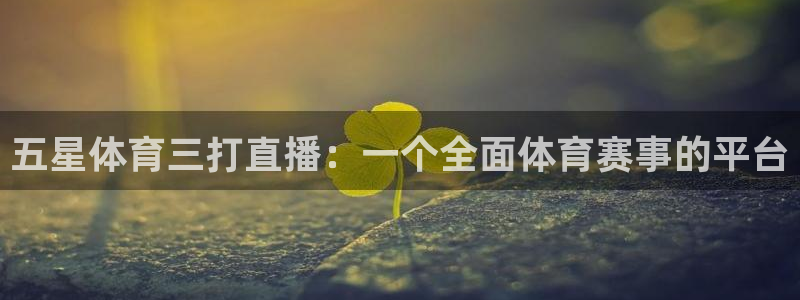 五星体育三打直播：一个全面体育赛事的平台