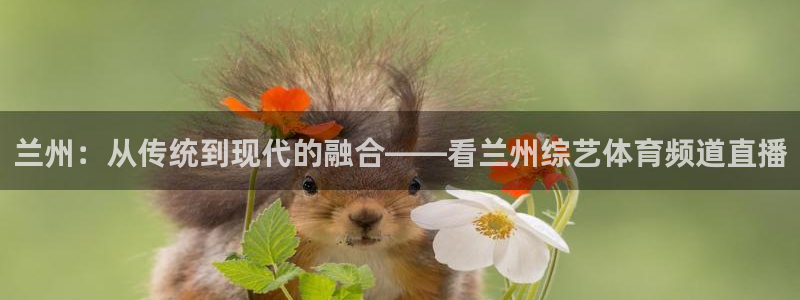兰州：从传统到现代的融合——看兰州综艺体育频道直播