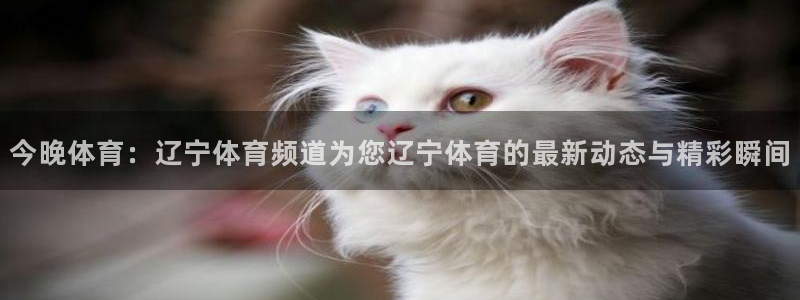 今晚体育：辽宁体育频道为您辽宁体育的最新动态与精彩瞬间