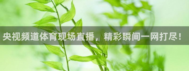 央视频道体育现场直播，精彩瞬间一网打尽！