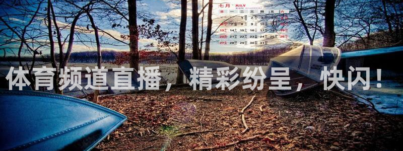 体育频道直播，精彩纷呈，快闪！