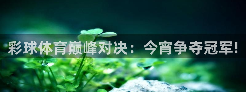 彩球体育巅峰对决：今宵争夺冠军!
