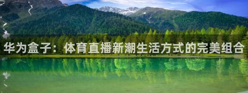 华为盒子：体育直播新潮生活方式的完美组合