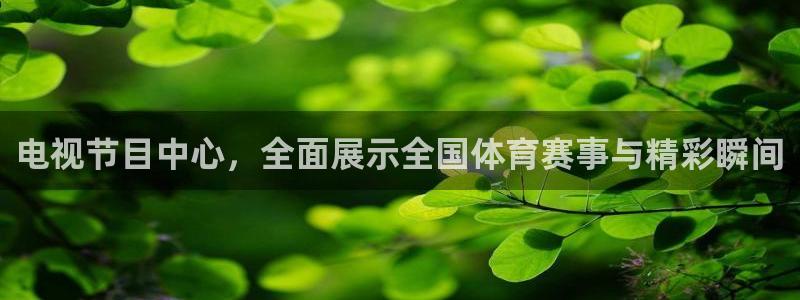 电视节目中心，全面展示全国体育赛事与精彩瞬间