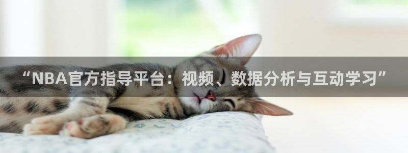 “NBA官方指导平台：视频、数据分析与互动学习”