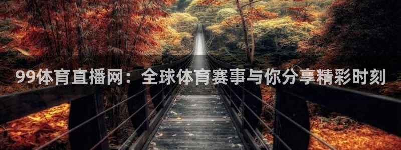 99体育直播网：全球体育赛事与你分享精彩时刻