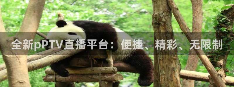 全新pPTV直播平台：便捷、精彩、无限制