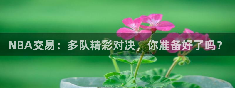NBA交易：多队精彩对决，你准备好了吗？