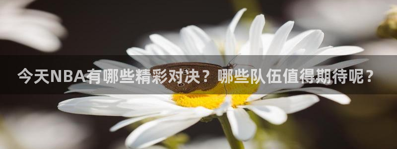 今天NBA有哪些精彩对决？哪些队伍值得期待呢？