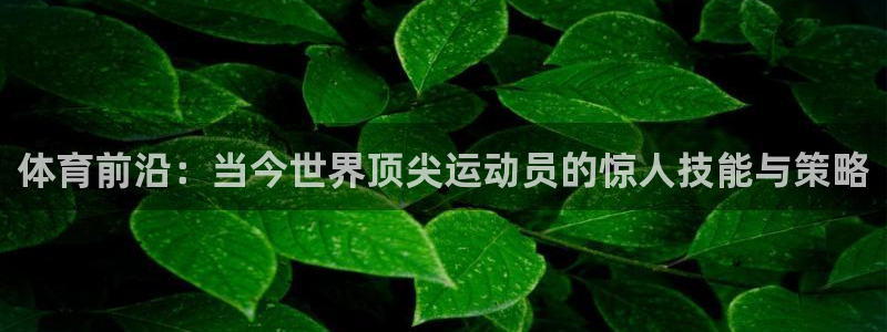 体育前沿：当今世界顶尖运动员的惊人技能与策略