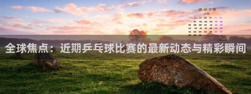 全球焦点：近期乒乓球比赛的最新动态与精彩瞬间