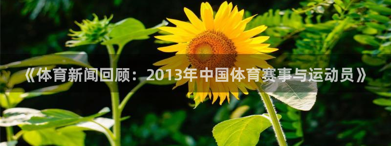 《体育新闻回顾：2013年中国体育赛事与运动员》