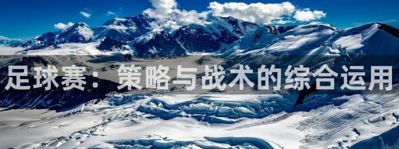 足球赛：策略与战术的综合运用