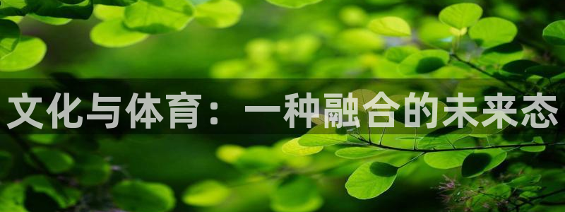 文化与体育：一种融合的未来态