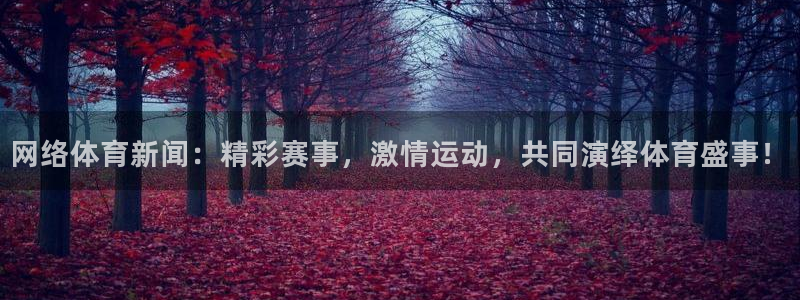 网络体育新闻：精彩赛事，激情运动，共同演绎体育盛事！