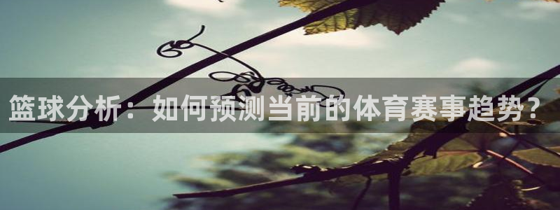 篮球分析：如何预测当前的体育赛事趋势？