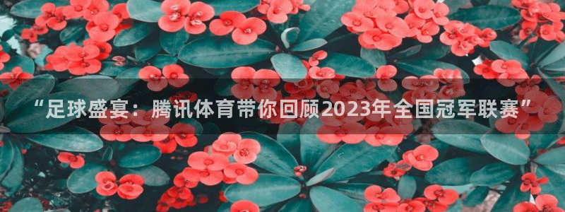 “足球盛宴：腾讯体育带你回顾2023年全国冠军联赛”