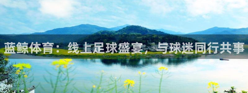 蓝鲸体育：线上足球盛宴，与球迷同行共事