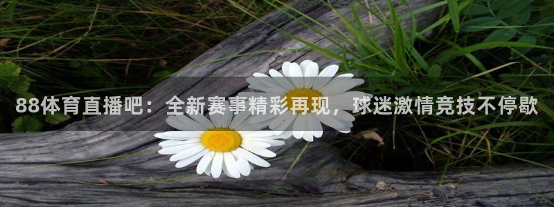 88体育直播吧：全新赛事精彩再现，球迷激情竞技不停歇