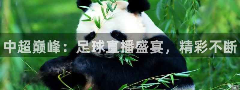 中超巅峰：足球直播盛宴，精彩不断