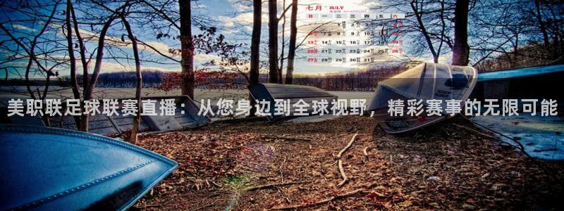 美职联足球联赛直播：从您身边到全球视野，精彩赛事的无限可能
