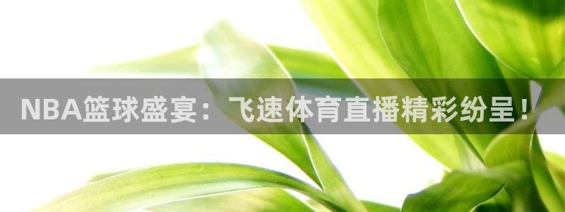 NBA篮球盛宴：飞速体育直播精彩纷呈！