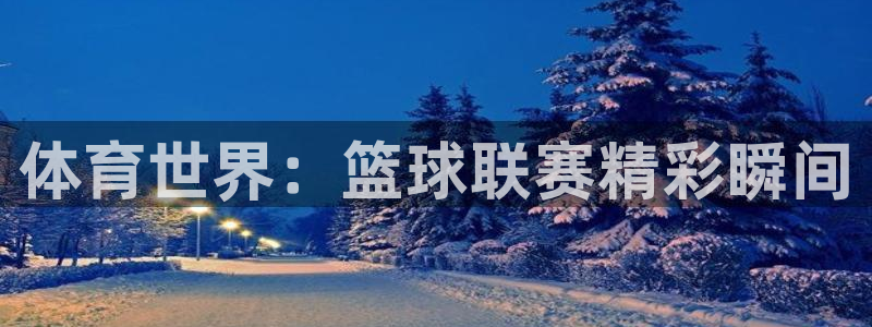 体育世界：篮球联赛精彩瞬间