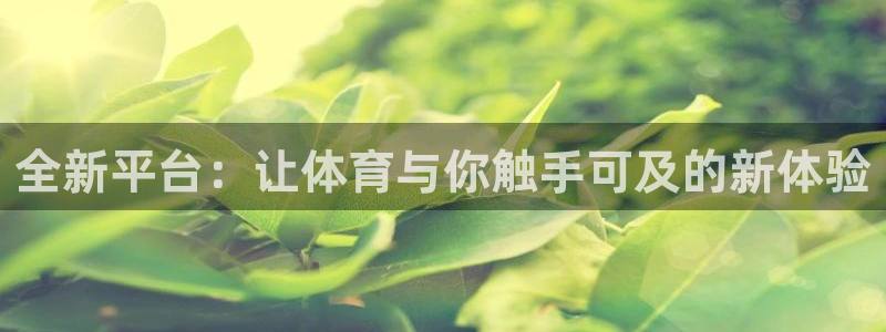 全新平台：让体育与你触手可及的新体验