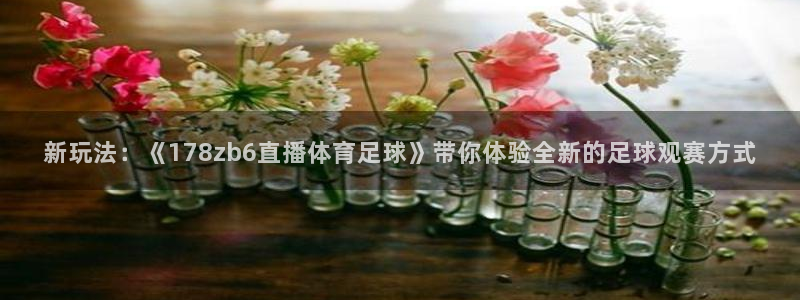 新玩法：《178zb6直播体育足球》带你体验全新的足球观赛方式