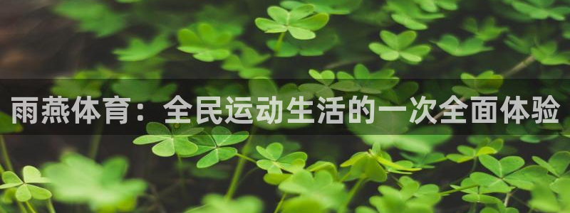 雨燕体育：全民运动生活的一次全面体验