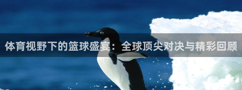 体育视野下的篮球盛宴：全球顶尖对决与精彩回顾