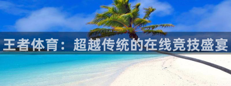 王者体育：超越传统的在线竞技盛宴