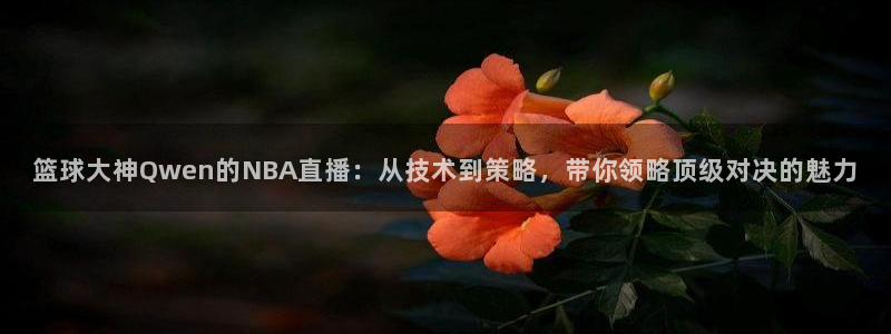 篮球大神Qwen的NBA直播：从技术到策略，带你领略顶级对决的魅力