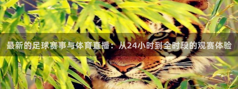 最新的足球赛事与体育直播：从24小时到全时段的观赛体验