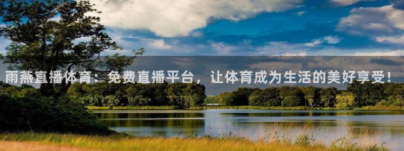 雨燕直播体育：免费直播平台，让体育成为生活的美好享受！