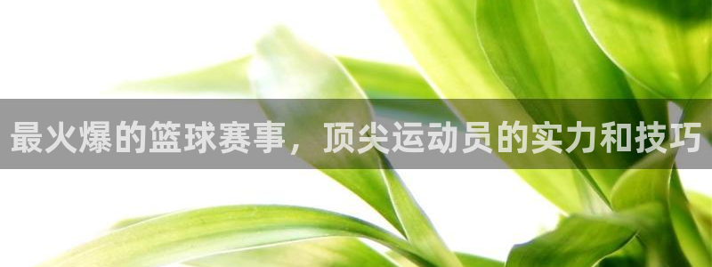 最火爆的篮球赛事，顶尖运动员的实力和技巧