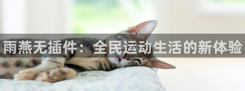 雨燕无插件：全民运动生活的新体验