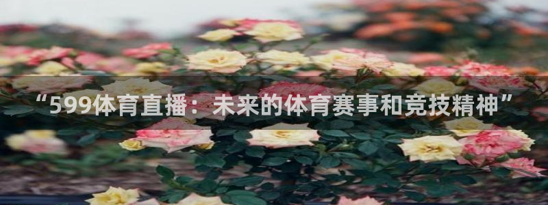 “599体育直播：未来的体育赛事和竞技精神”