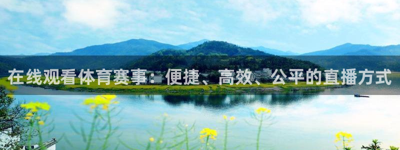 在线观看体育赛事：便捷、高效、公平的直播方式