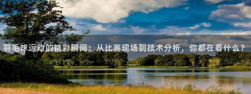 羽毛球运动的精彩瞬间：从比赛现场到技术分析，你都在看什么？