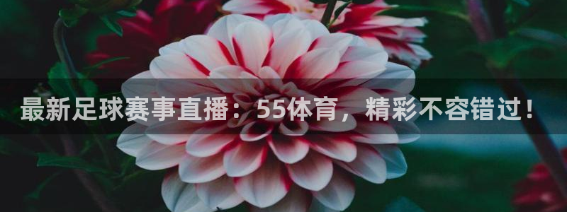 最新足球赛事直播：55体育，精彩不容错过！