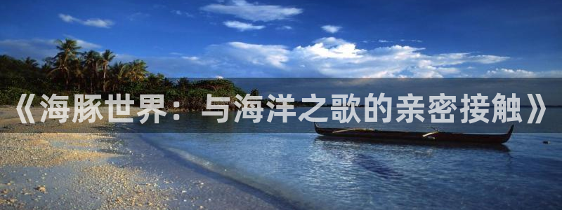 《海豚世界：与海洋之歌的亲密接触》