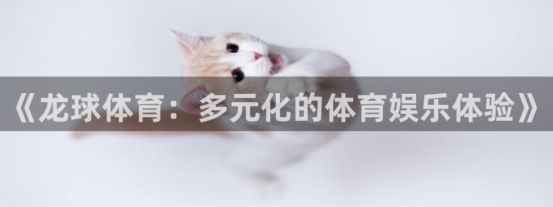 《龙球体育：多元化的体育娱乐体验》
