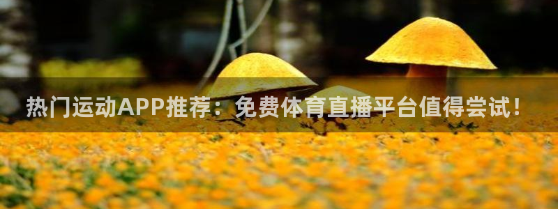 热门运动APP推荐：免费体育直播平台值得尝试！